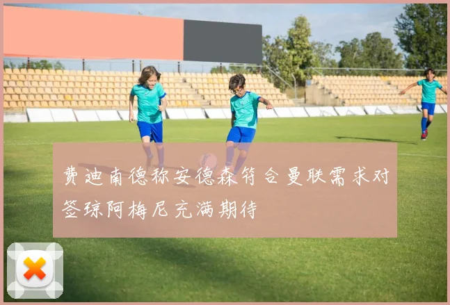 费迪南德称安德森符合曼联需求对签琼阿梅尼充满期待